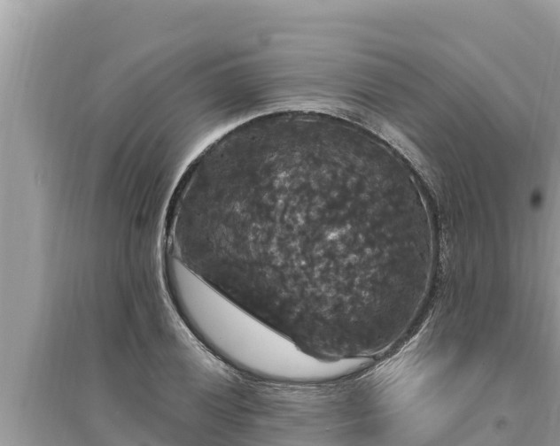 X0000095551028200712211405