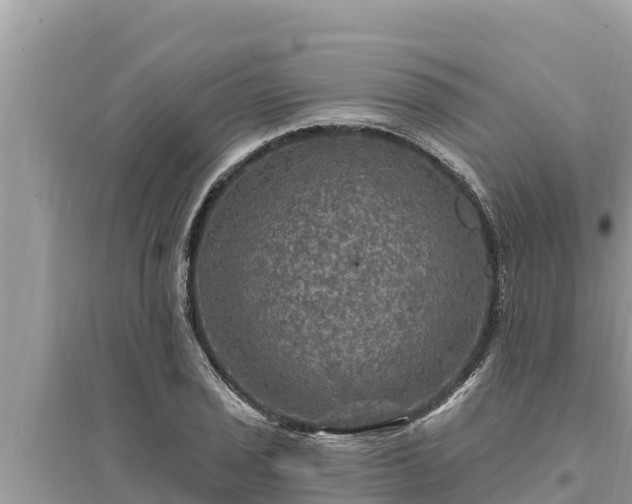 X0000095551029200712211405