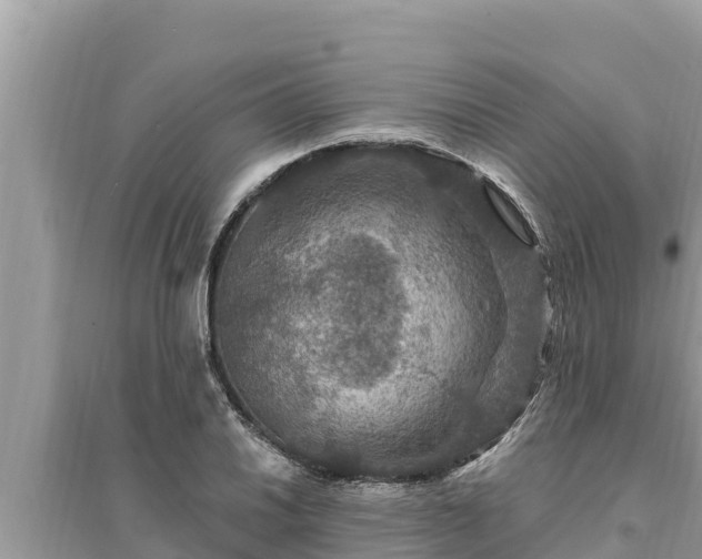 X0000095551030200712211405