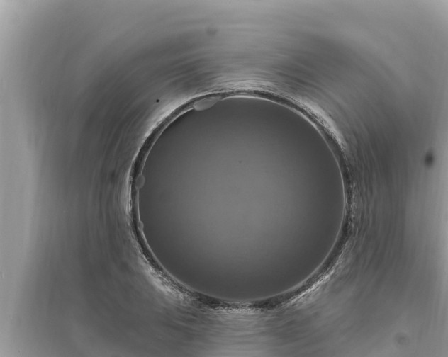 X0000095551031200712211405