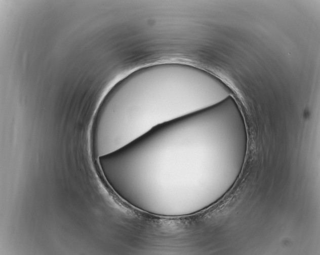 X0000095551032200712211405