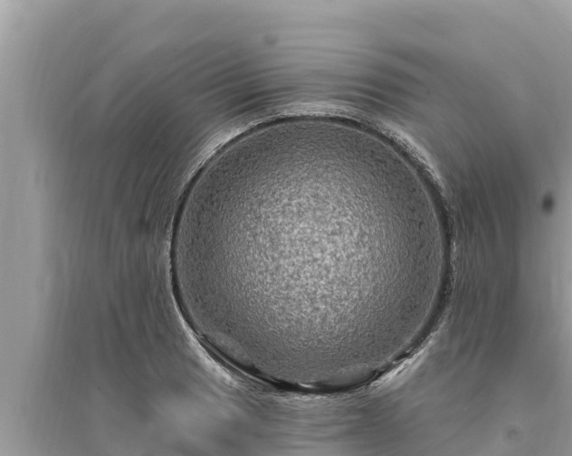 X0000095551033200712211405