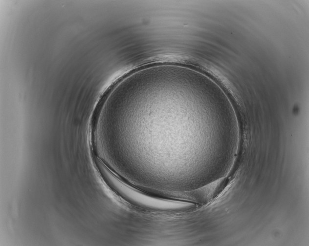 X0000095551034200712211405