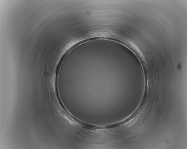 X0000095551035200712211405