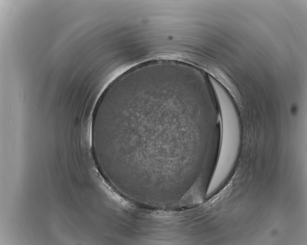 X0000095551036200712211405