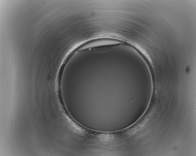 X0000095551037200712211405