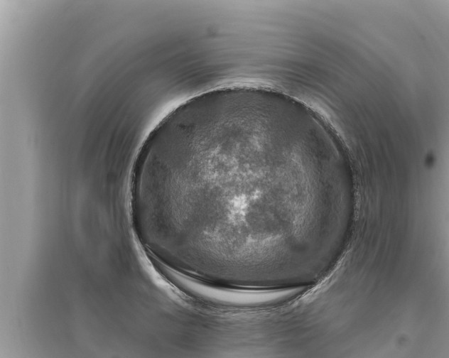 X0000095551038200712211405