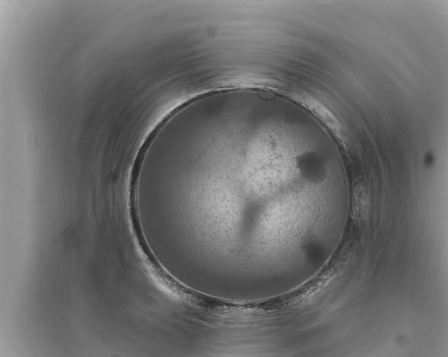 X0000095551039200712211405