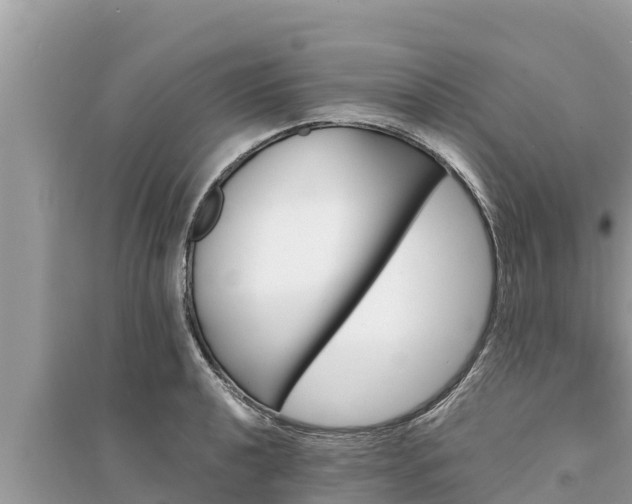 X0000095551040200712211405