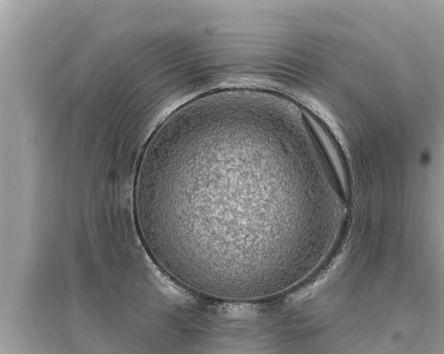 X0000095551041200712211405