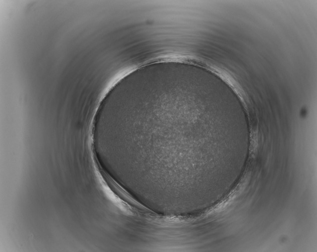 X0000095551042200712211405