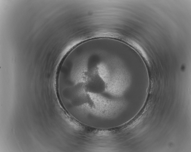 X0000095551043200712211405