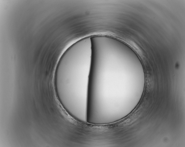 X0000095551044200712211405