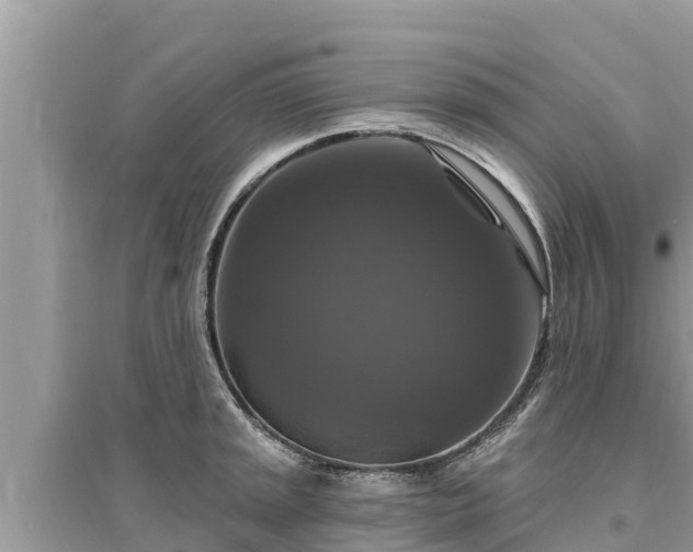 X0000095551045200712211405