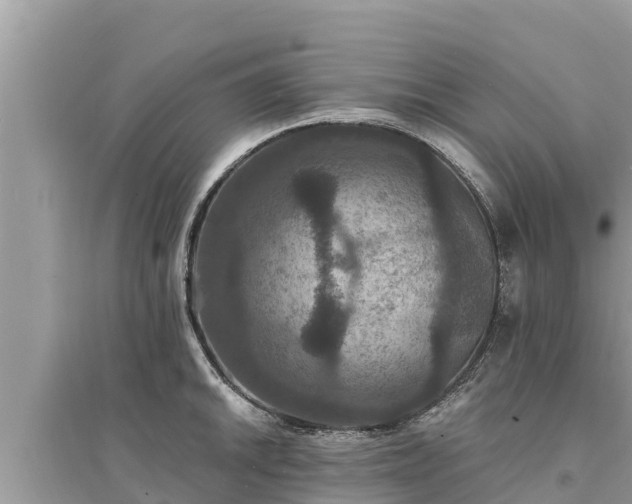 X0000095551046200712211405