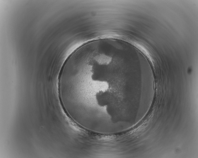 X0000095551047200712211405