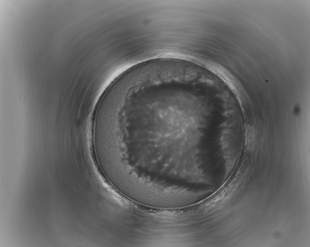 X0000095551048200712211405