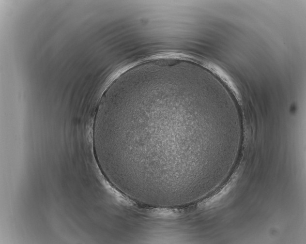 X0000095551049200712211405