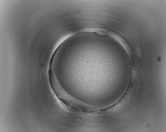 X0000095551050200712211405