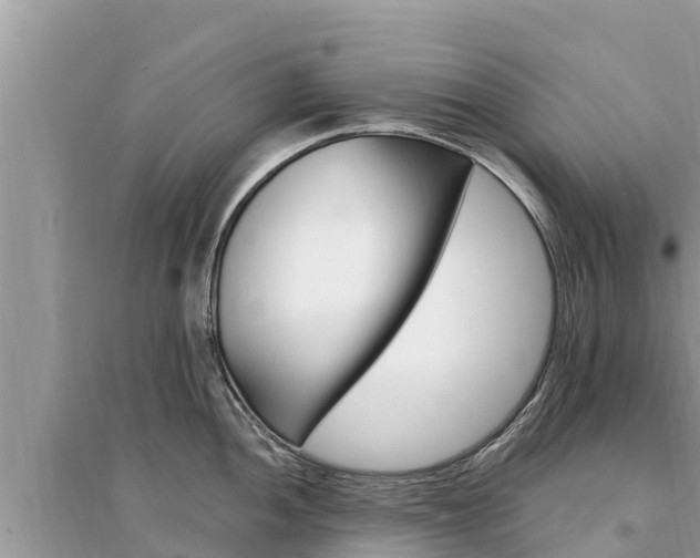 X0000095551052200712211405