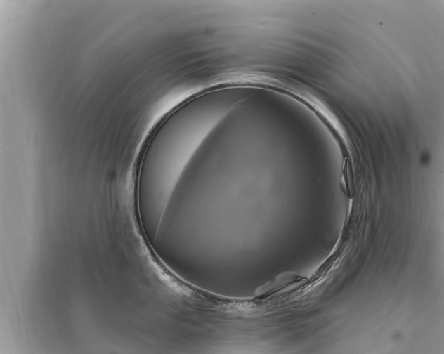 X0000095551053200712211405