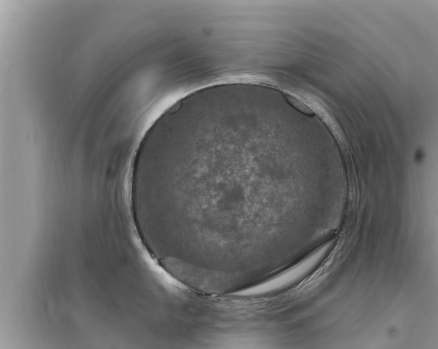 X0000095551054200712211405