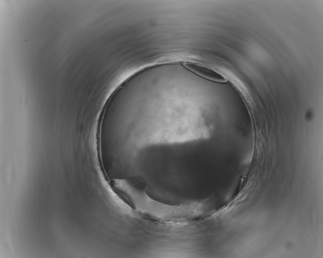 X0000095551055200712211405