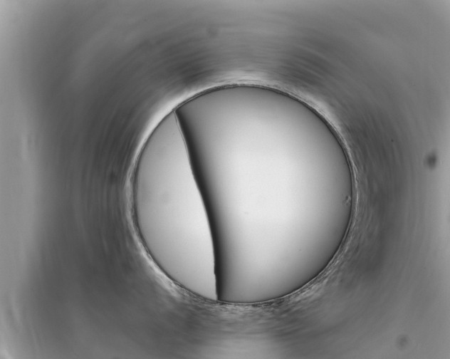 X0000095551056200712211405