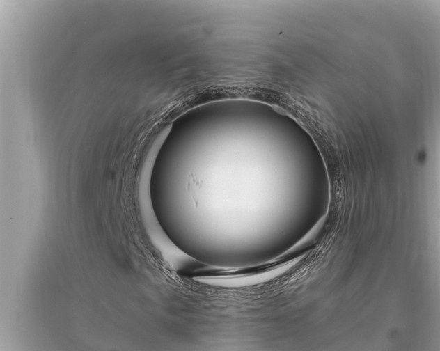 X0000095551057200712211405