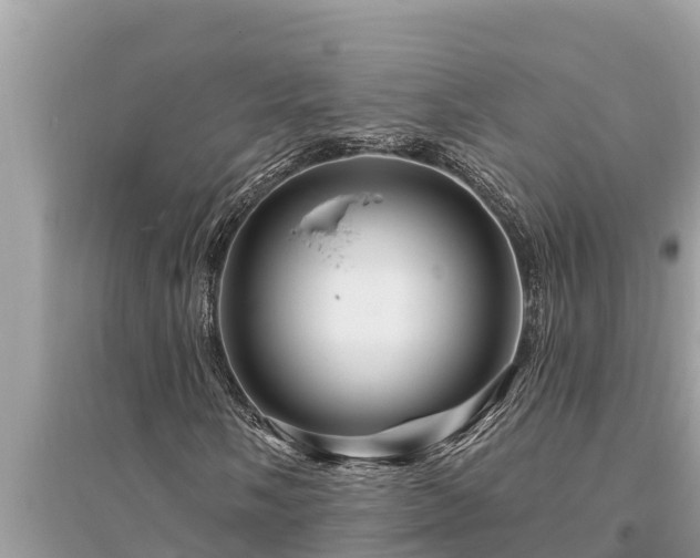 X0000095551058200712211405