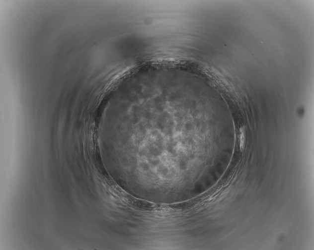 X0000095551059200712211405