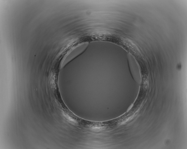 X0000095551060200712211405