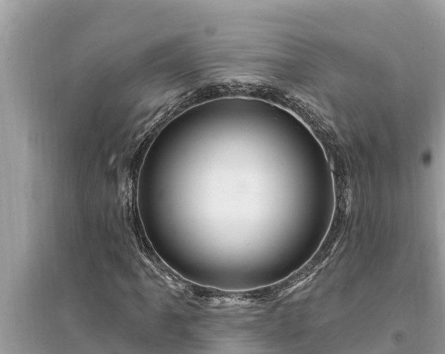 X0000095551061200712211405