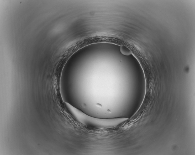 X0000095551062200712211405