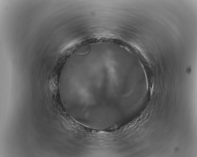 X0000095551063200712211405