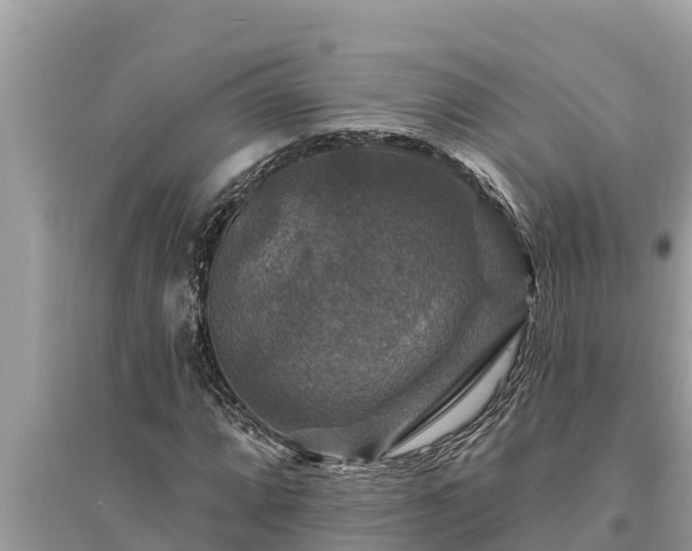 X0000095551064200712211405