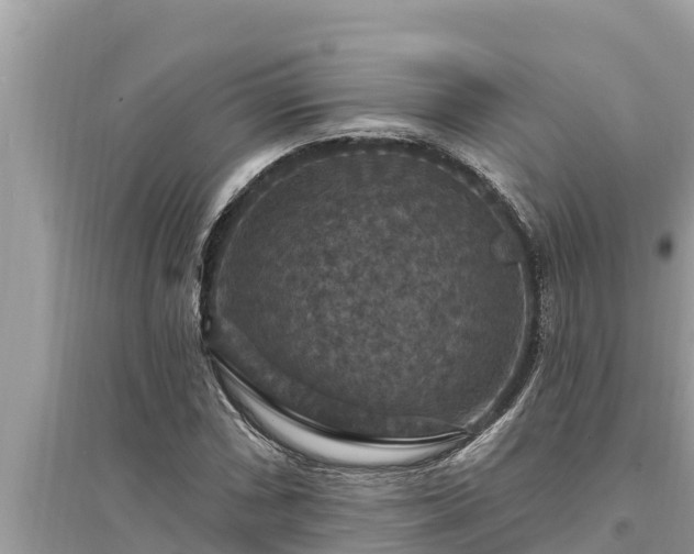 X0000095551066200712211405