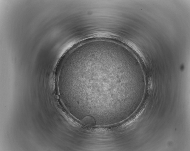 X0000095551067200712211405