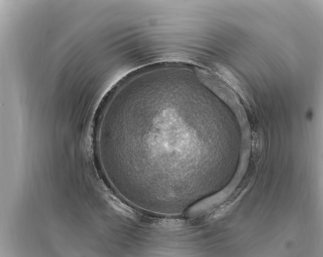 X0000095551068200712211405