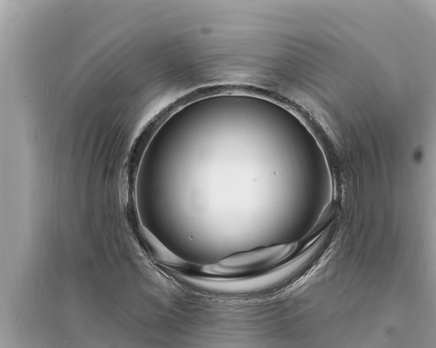 X0000095551069200712211404