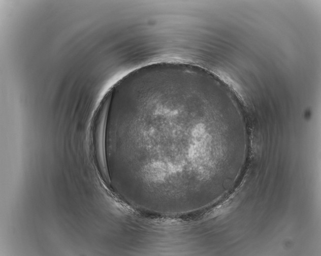 X0000095551070200712211404