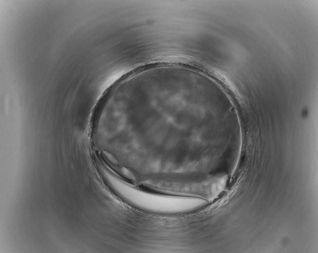 X0000095551071200712211404