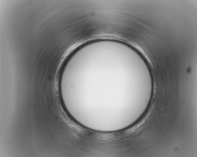 X0000095551074200712211404