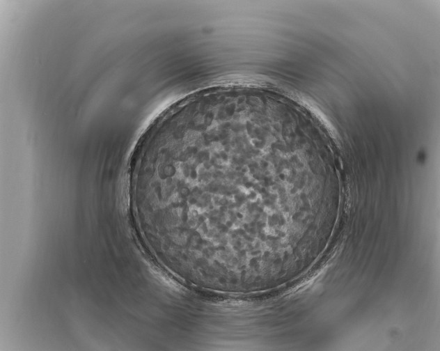 X0000095551075200712211404