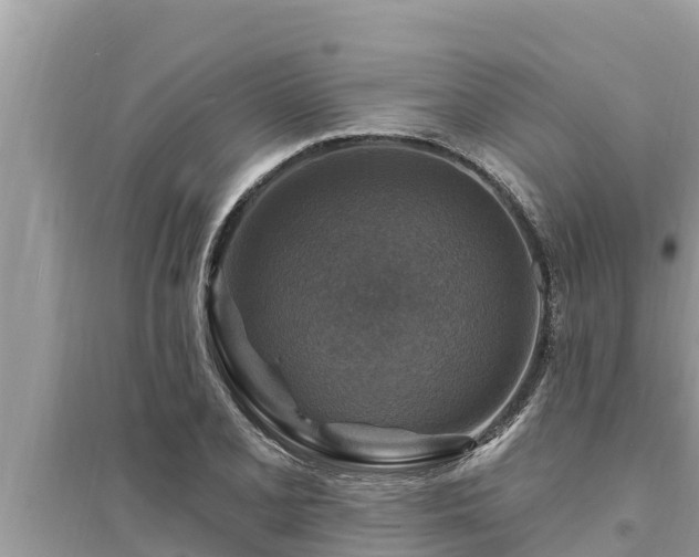 X0000095551077200712211404