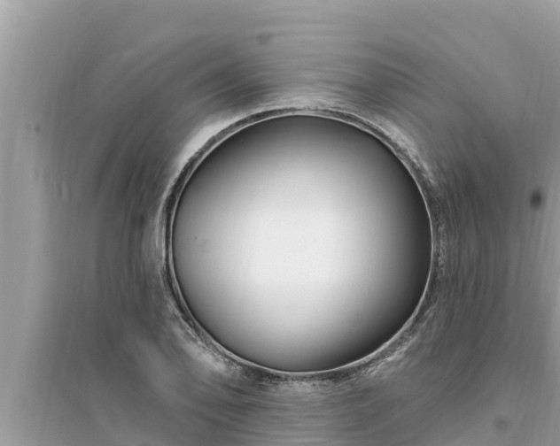 X0000095551078200712211404