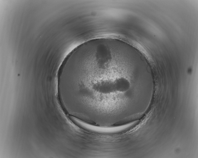 X0000095551079200712211404