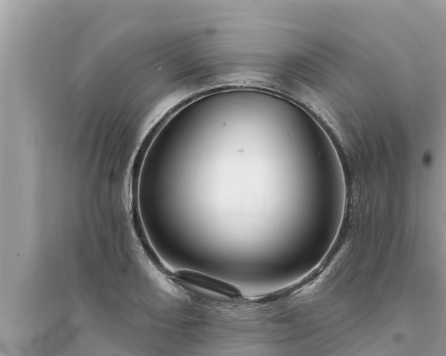 X0000095551082200712211404