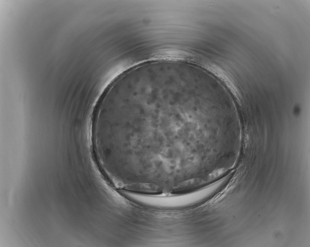 X0000095551083200712211404