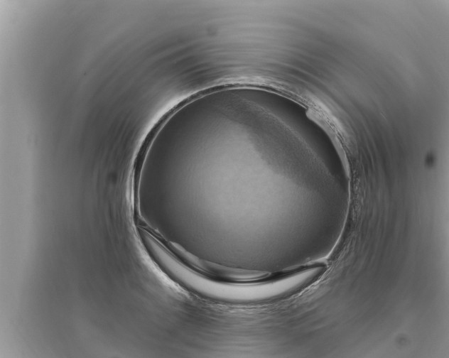 X0000095551084200712211404